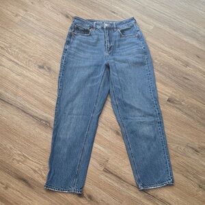 American Eagle Outfitters Blue Straight Leg Jeans